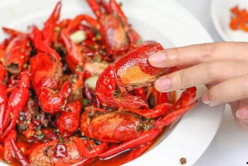 龙虾最新爆料新闻,揭秘幕后真相，行业乱象再引关注
